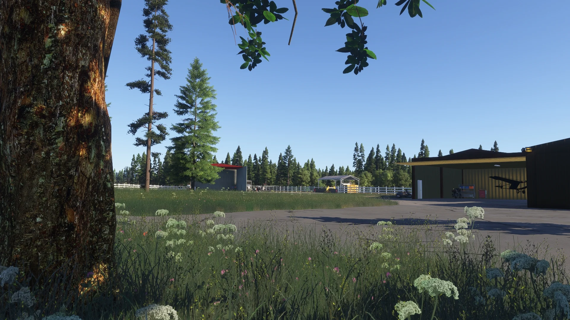 Thumbnail 45
