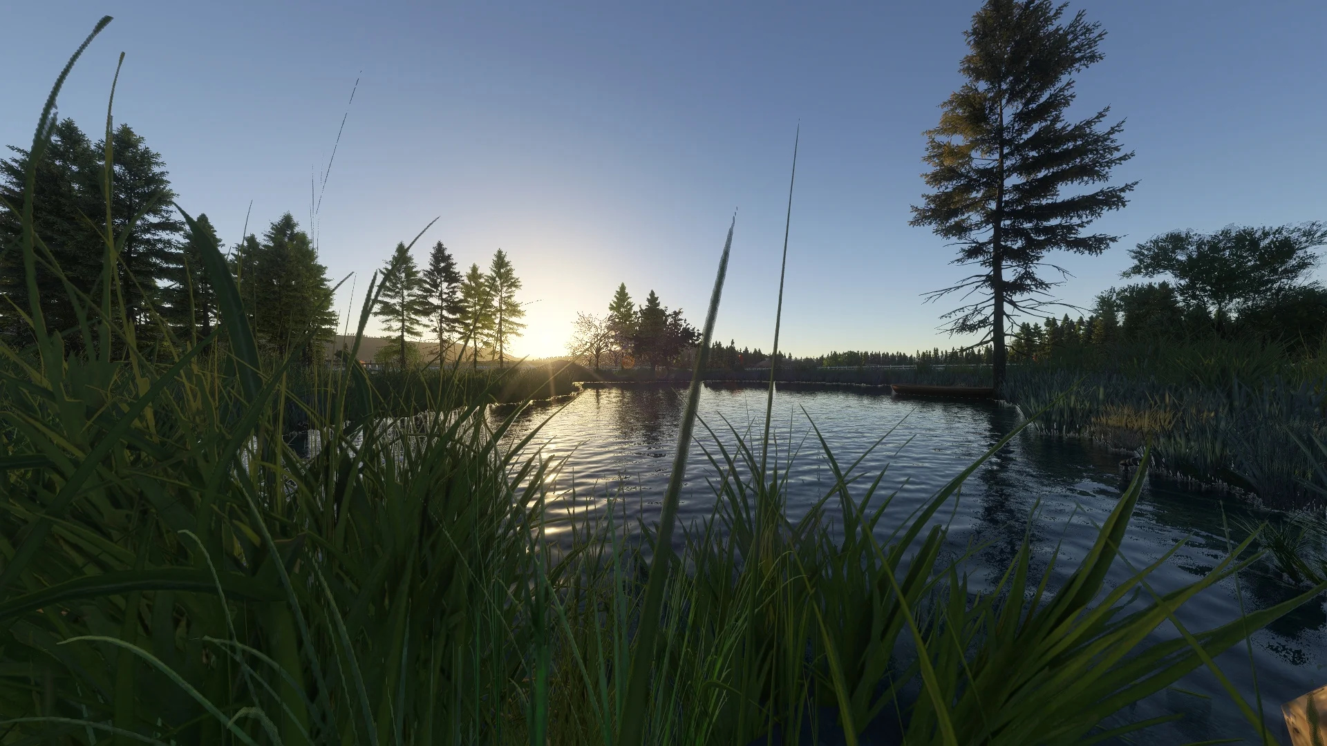 Thumbnail 62