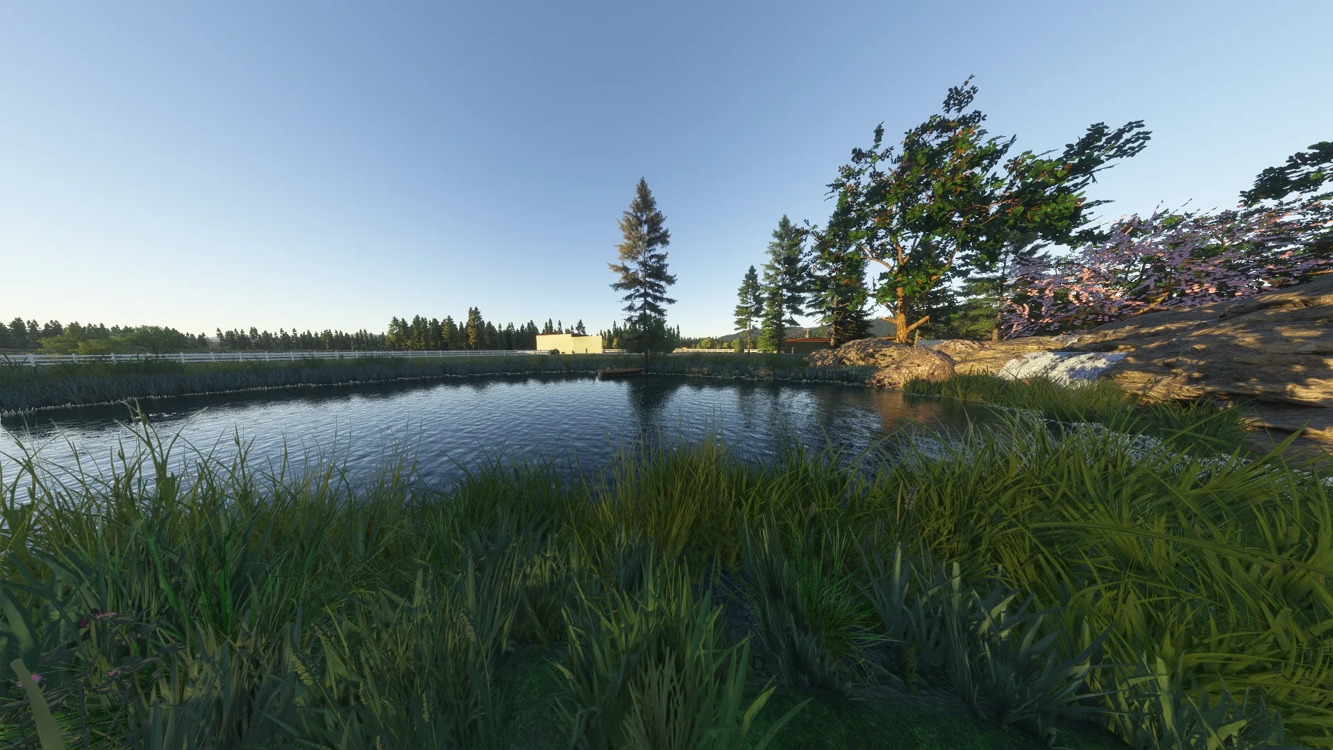 Thumbnail 63
