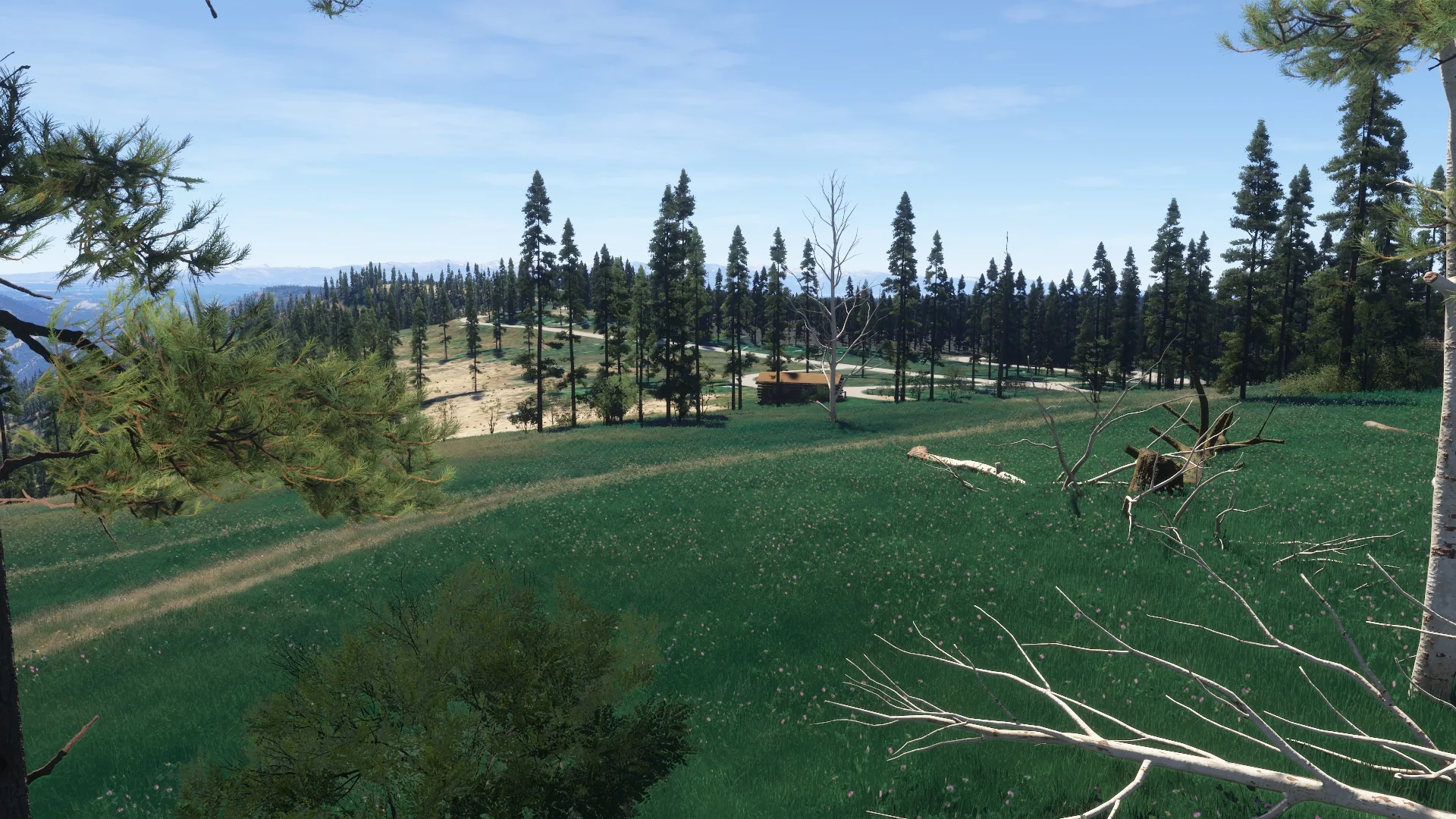 Thumbnail 20