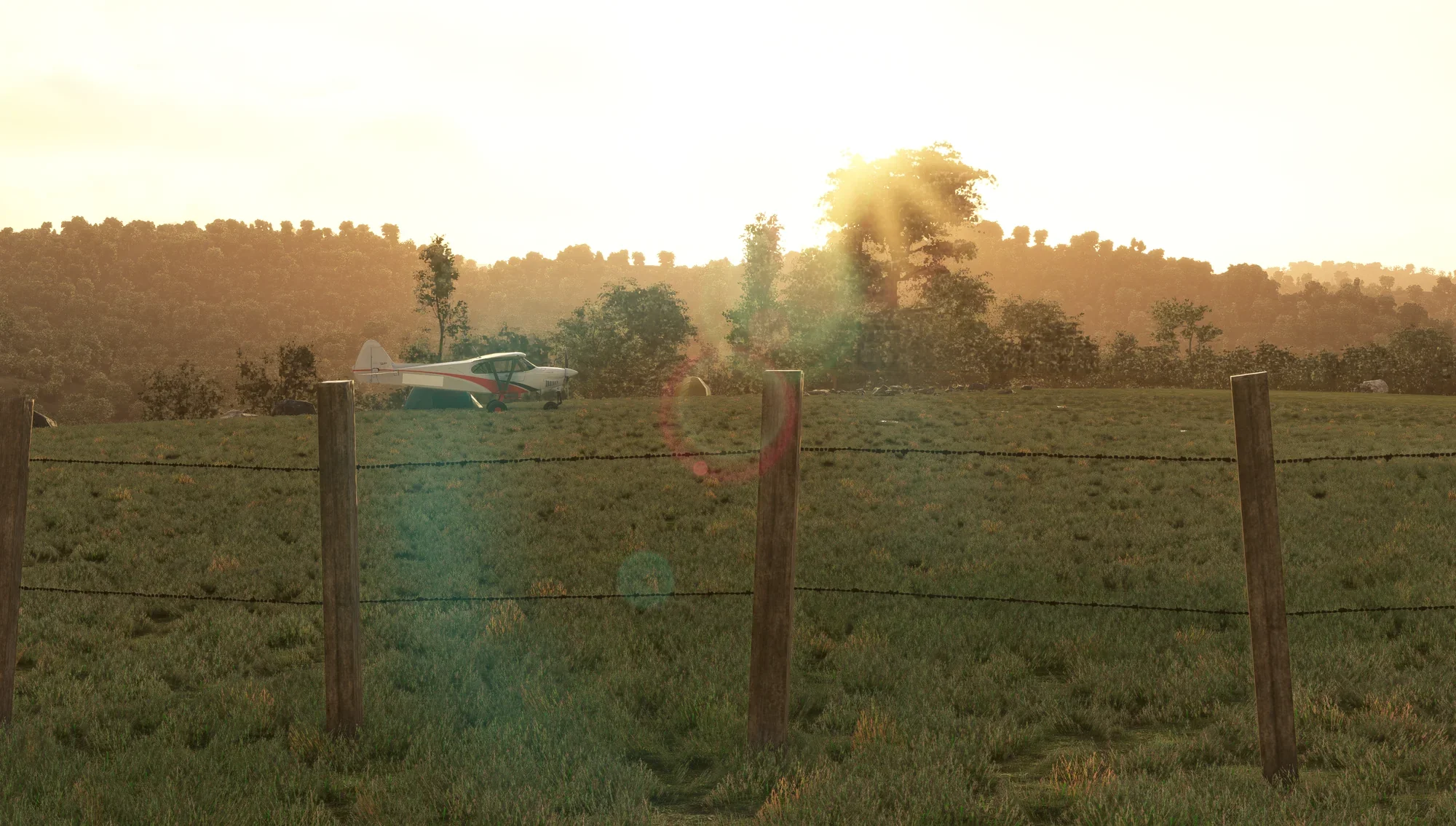 Thumbnail 14