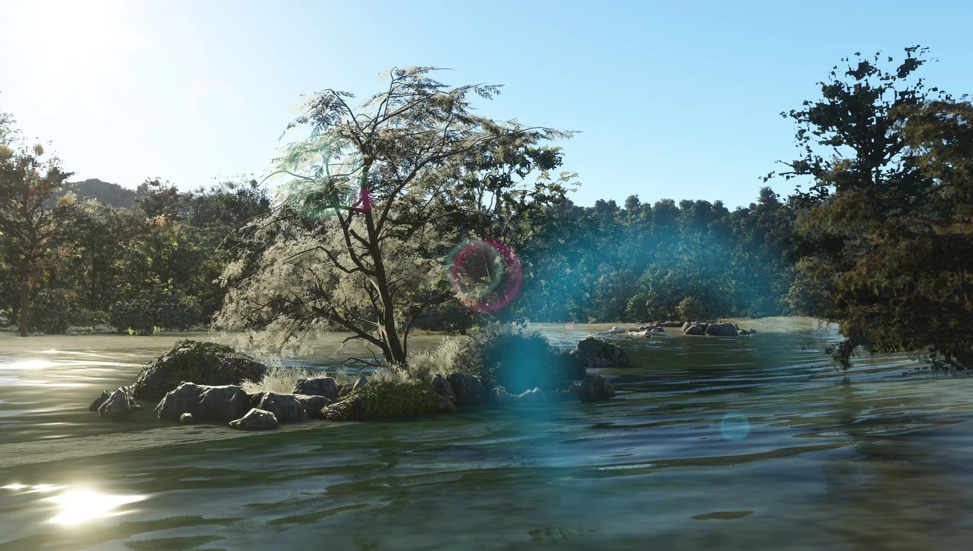Thumbnail 14