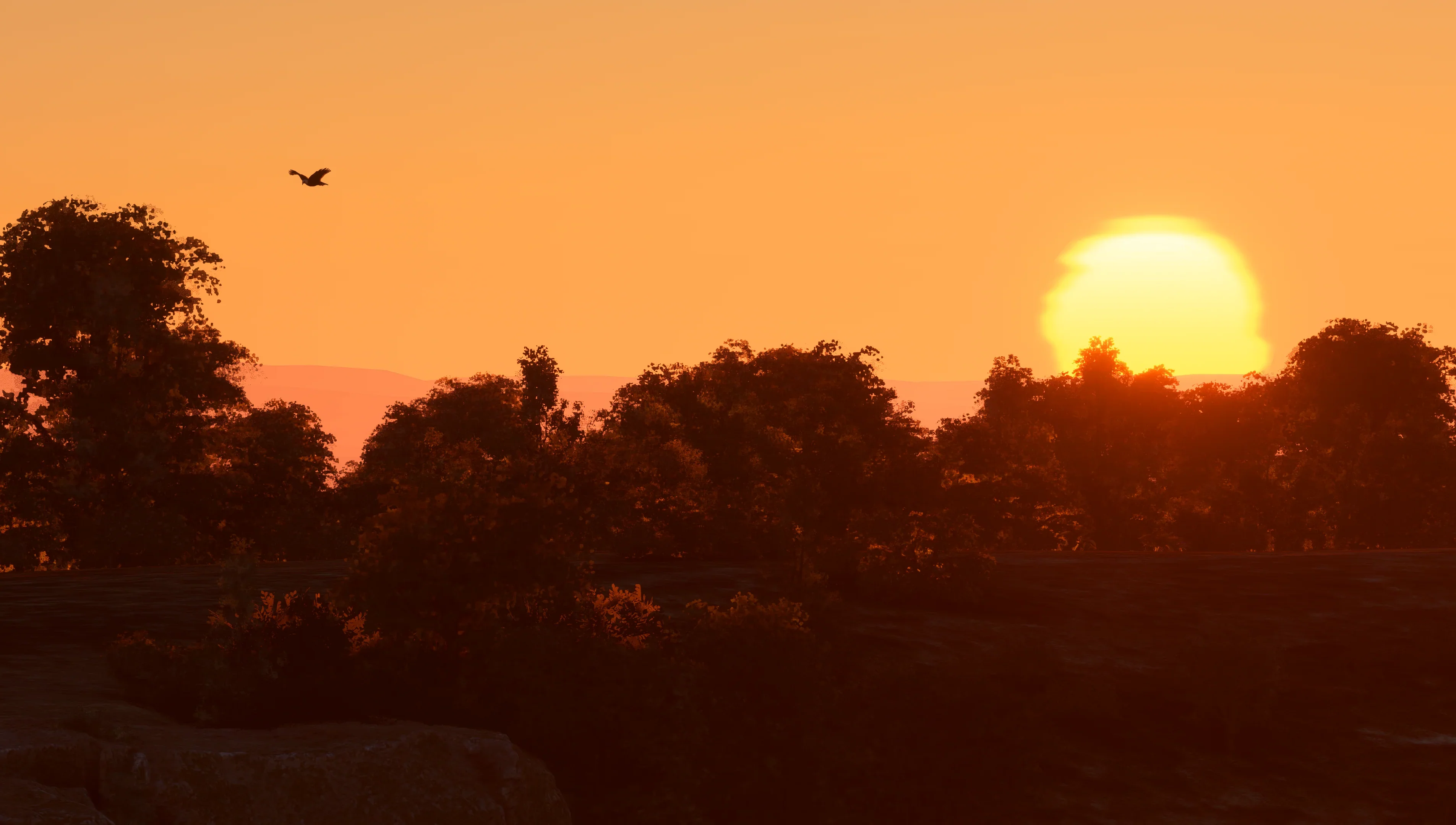Thumbnail 26
