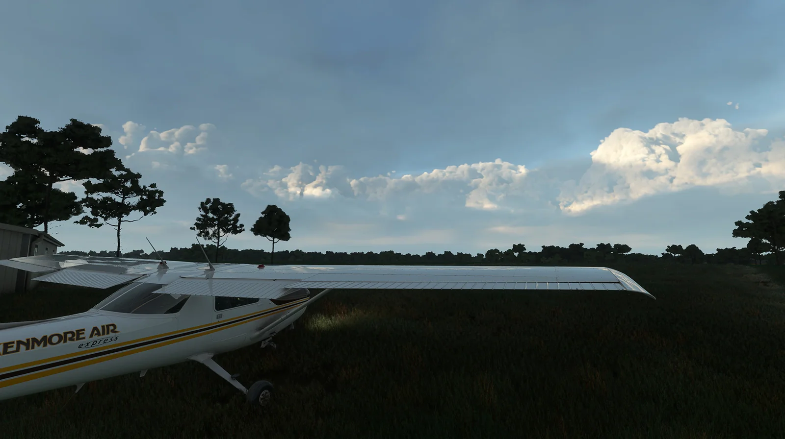 Thumbnail 20