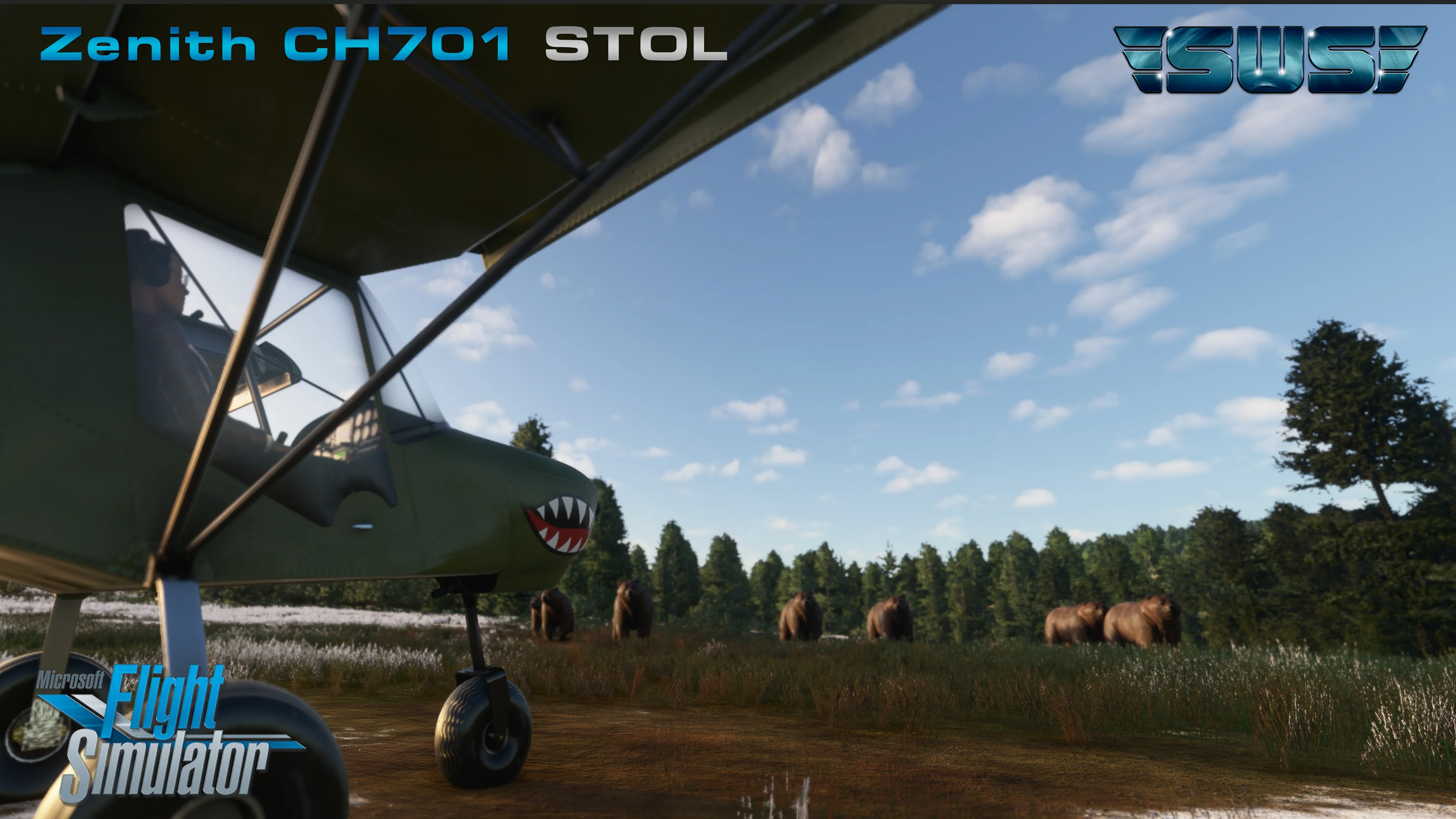 Thumbnail 11